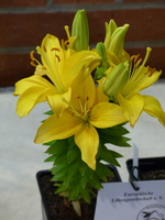 Foto: Dr. Peter Müller